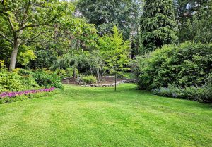 Optimiser l'expérience du jardin à Saint-Sulpice-en-Pareds